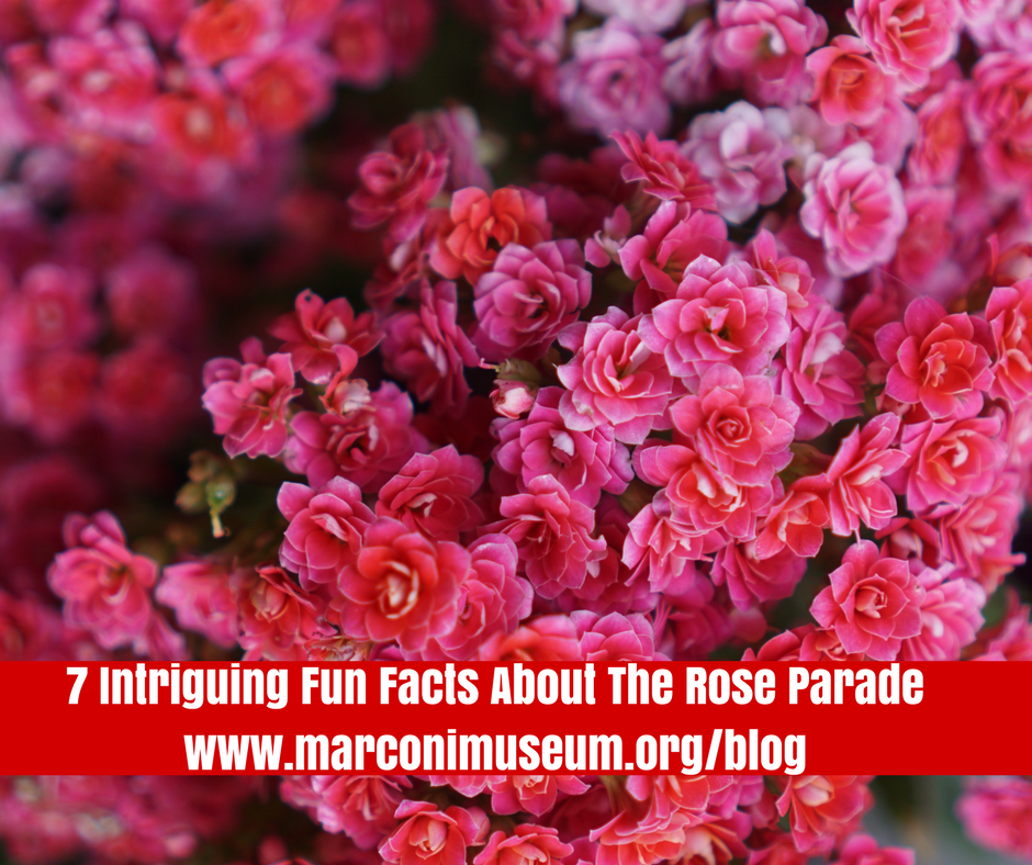 7 Intriguing Fun Fuacts About The Rose Parade
