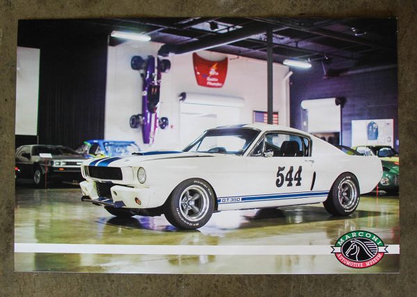 1965 Ford Shelby Poster